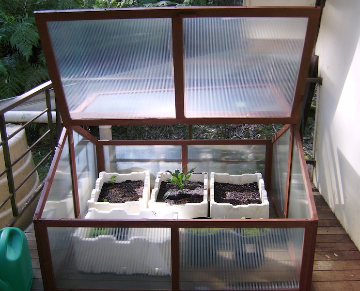 This greenhouse fits onto a verandah