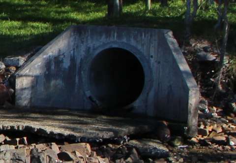 Drainage in the Cove
