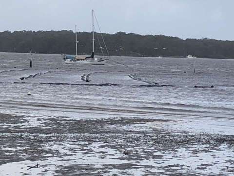 Loose oyster line during strong winds