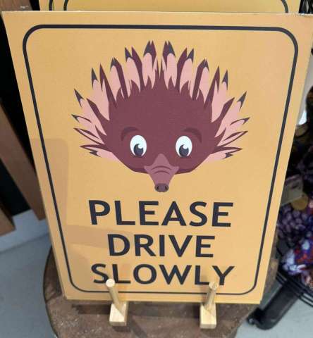 Echidna sign