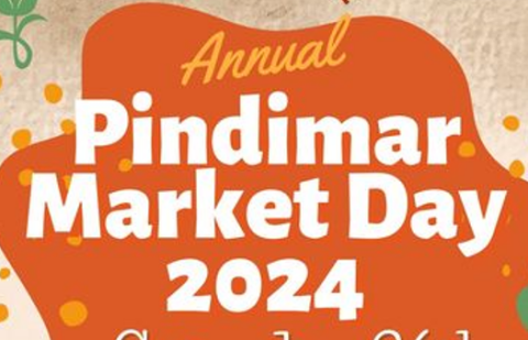 Pindimar Market Day